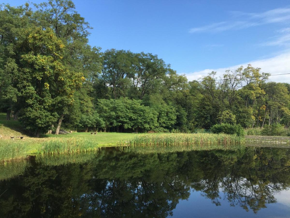 Camping Lesne Ustronie Hotel Witnica Bagian luar foto