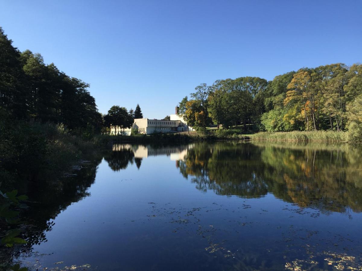 Camping Lesne Ustronie Hotel Witnica Bagian luar foto